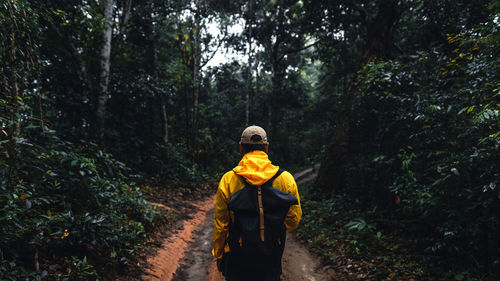 Rear view of man standing in forest