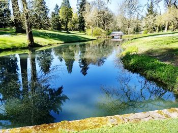 Scenic view of lake by trees in park