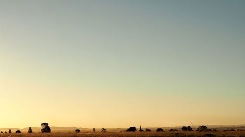 Scenic view of field against clear sky