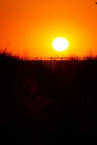 Silhouette of trees at sunset