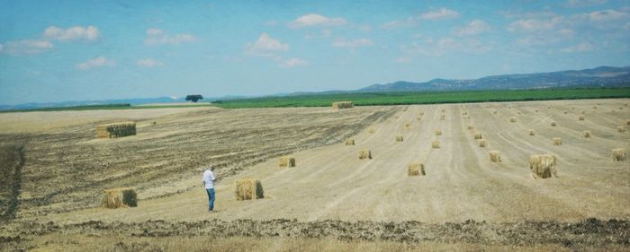 Scenic view of field against cloudy sky