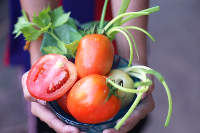 Close-up of tomatoes in container
