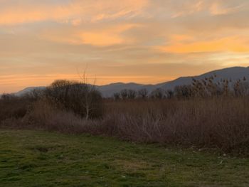 Scenic view of field against sky during sunset