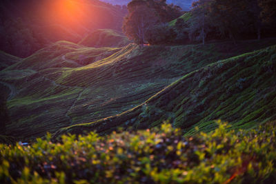 Scenic view of land against sky