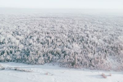 Scenic view of snow covered land