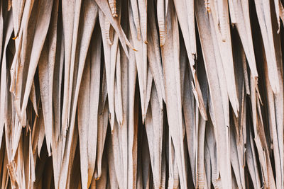 Full frame shot of bamboo on wood