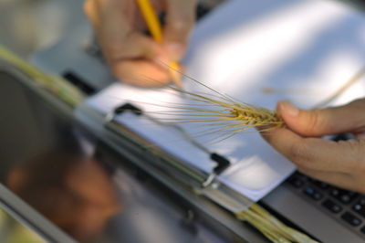 High angle view of person working