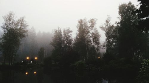 Reflection of trees in calm lake