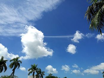 Low angle view of tree against sky