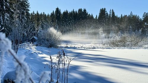 snow