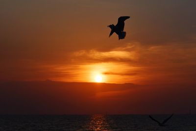 Silhouette bird flying over sea against orange sky