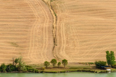 Scenic view of field