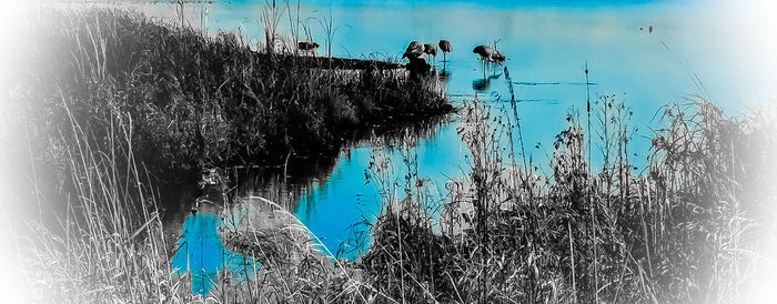 Reflection of sky in water