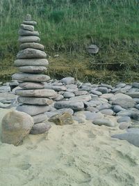 Pile of logs on field