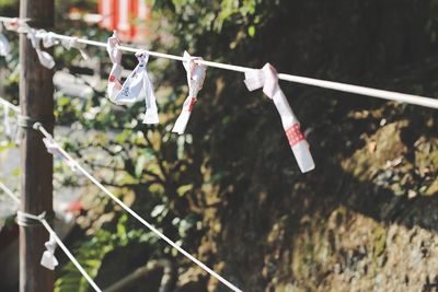 Close-up of clothespins hanging on rope