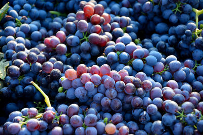 Full frame shot of grapes