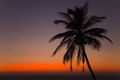 Silhouette palm tree against sky at sunset