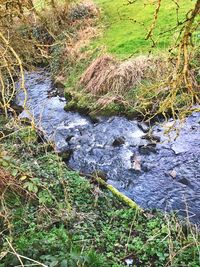 Scenic view of river by landscape