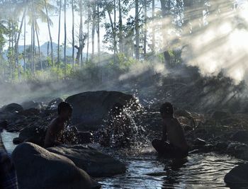 People swimming in forest