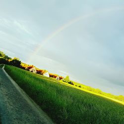 Scenic shot of rainbow over landscape