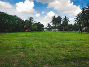 Scenic view of trees on field against sky