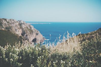 Scenic view of sea against blue sky