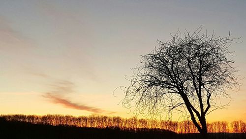 Silhouette bare tree against sky during sunset