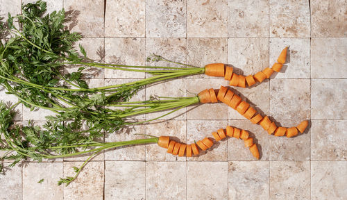 High angle view of orange pepper on tiled floor