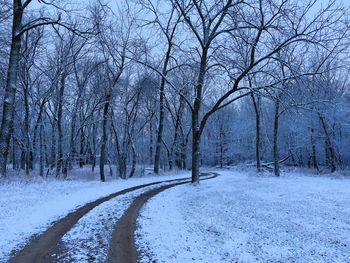 Snow covered road amidst bare trees during winter
