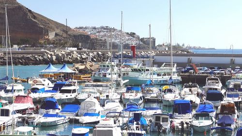 Sailboats moored on harbor against clear sky
