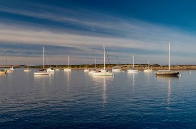 Sailboats moored in sea against sky