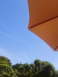 Low angle view of trees against blue sky