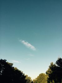 Low angle view of trees against clear sky