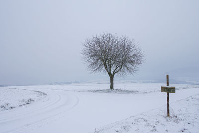 Bare tree on snow covered field against sky