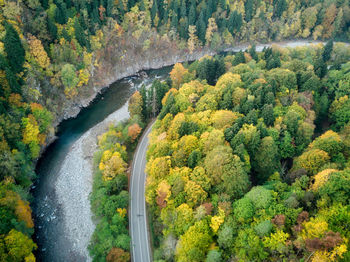 High angle view of stream amidst trees in forest during autumn