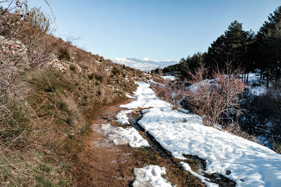 Scenic view of stream amidst trees against sky during winter