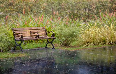 Empty bench in park
