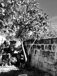 View of people sitting on wall