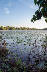 Scenic view of lake against sky