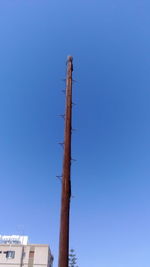 Low angle view of trees against clear blue sky