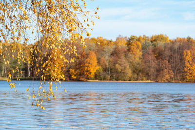 Scenic view of lake against sky during autumn