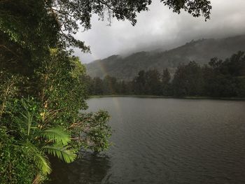 Scenic view of lake by trees against sky