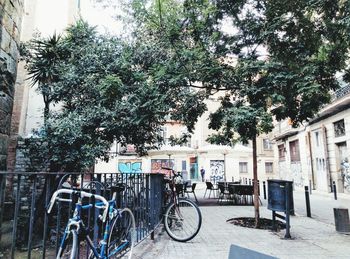 Bicycles parked on street in city