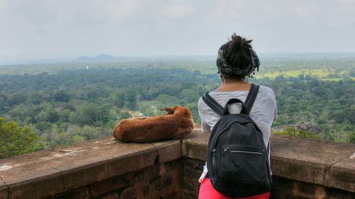 Rear view of woman with stray dog at observation point against sky