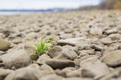 Close-up of stones on beach