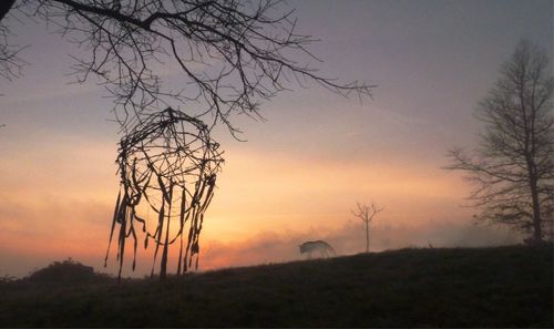 Silhouette bare tree on field against sky during sunset