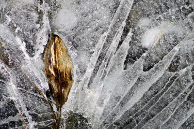 Close-up of snow on rock