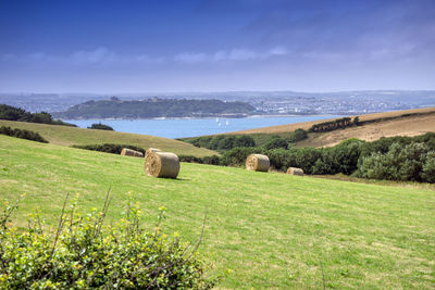 Hay bales on field by sea against sky