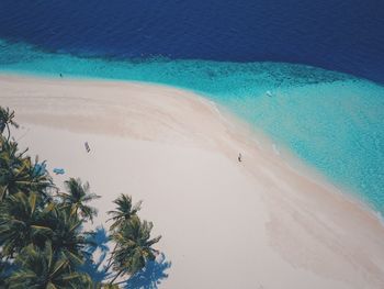 Aerial view of beach