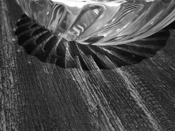 Close-up of flower on table